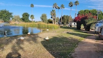 Very serene area