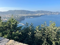 Patio view from the room