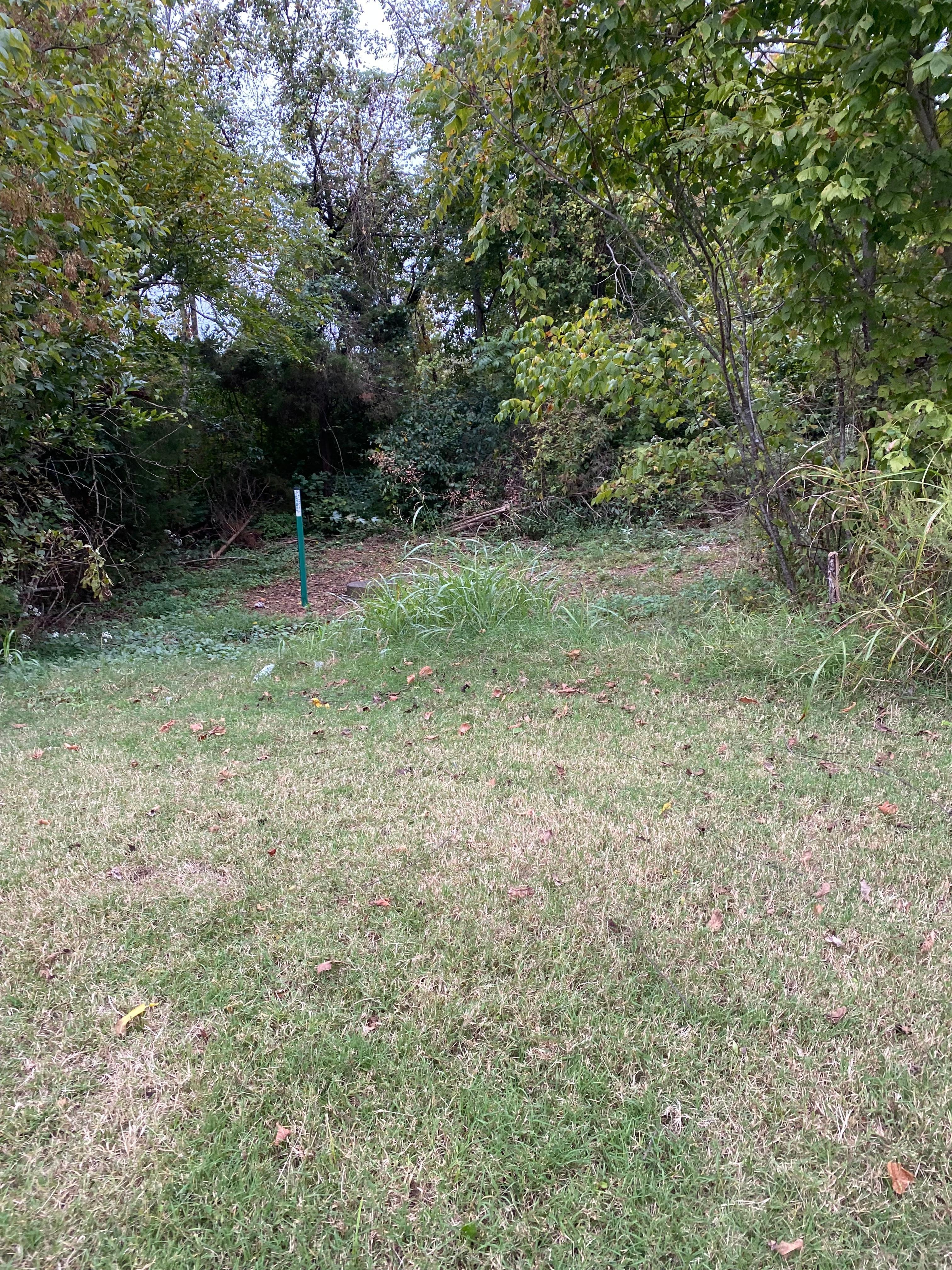 Path cut in the woods behind hotel. A man came out of the woods when I tried to get into the hotel.