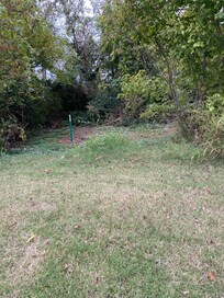 Path cut in the woods behind hotel. A man came out of the woods when I tried to get into the hotel.