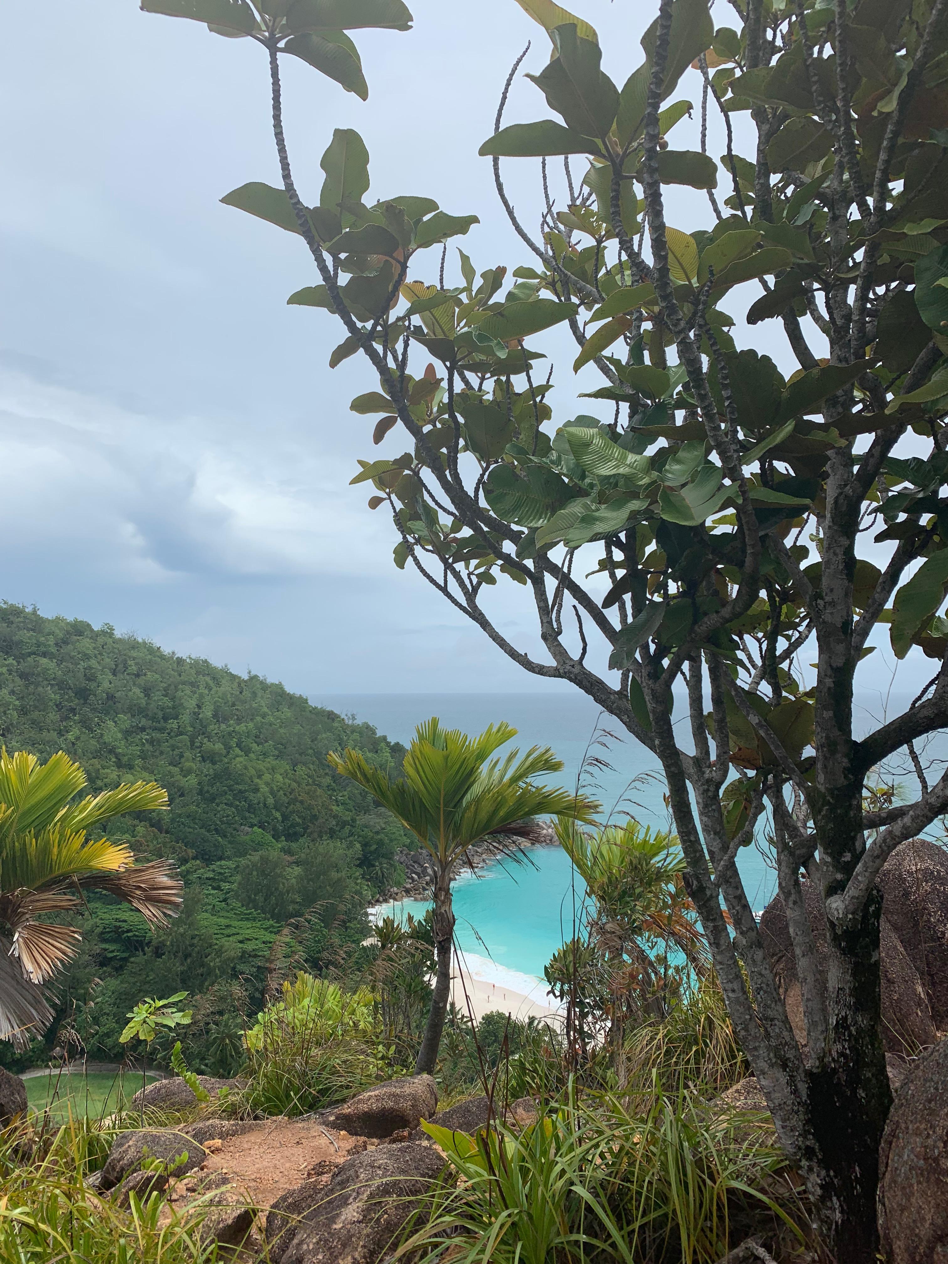 Anse Georgette. 3 hour round hike, well worth it. Quicker access through Constance Lemuria Hotel-phone and book in advance!!