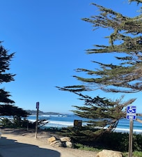 Beautiful trees and ocean near by