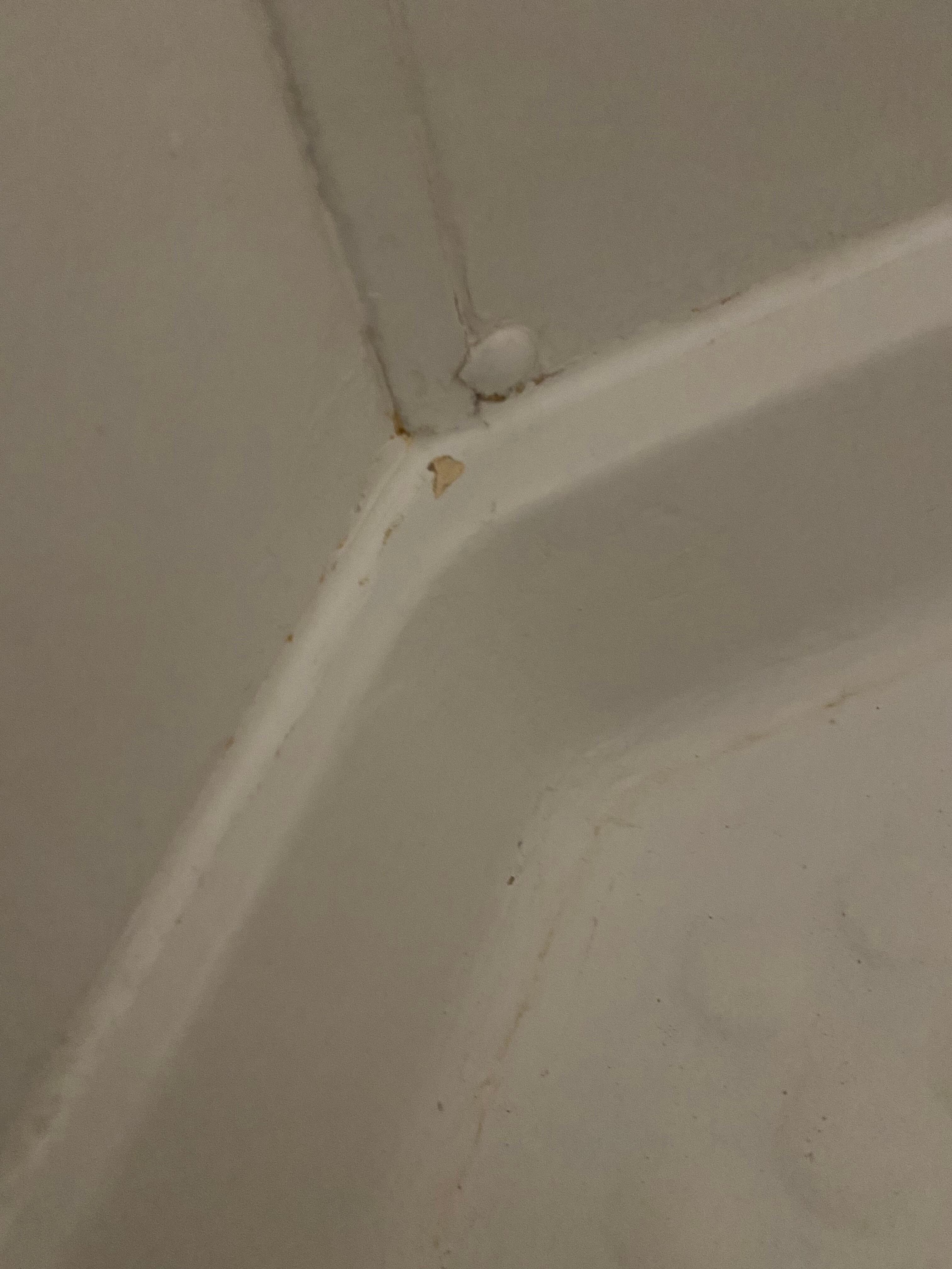 very “clean” shower with the blood in the corner