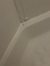 very “clean” shower with the blood in the corner