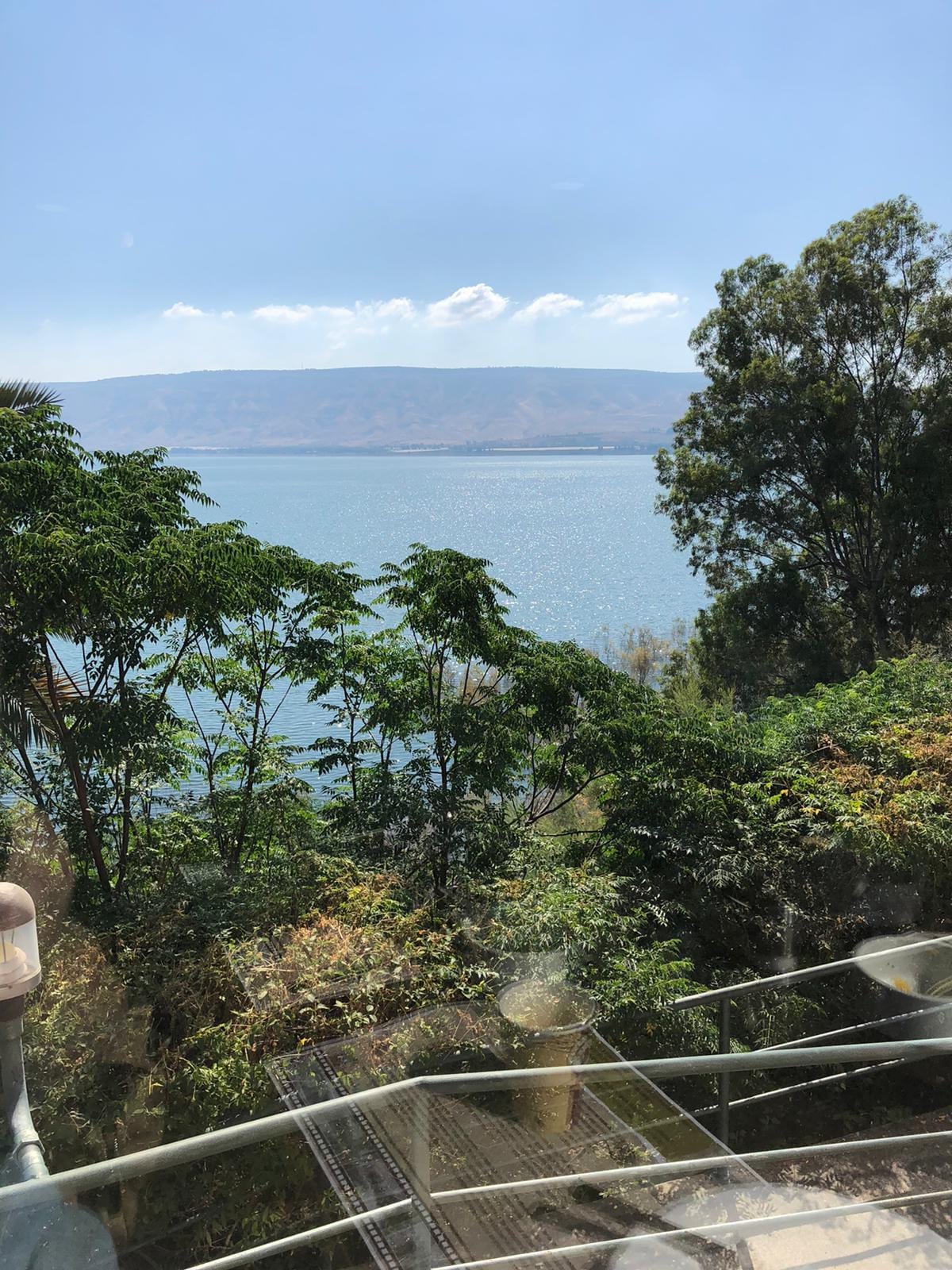 View from
Our dining table. 