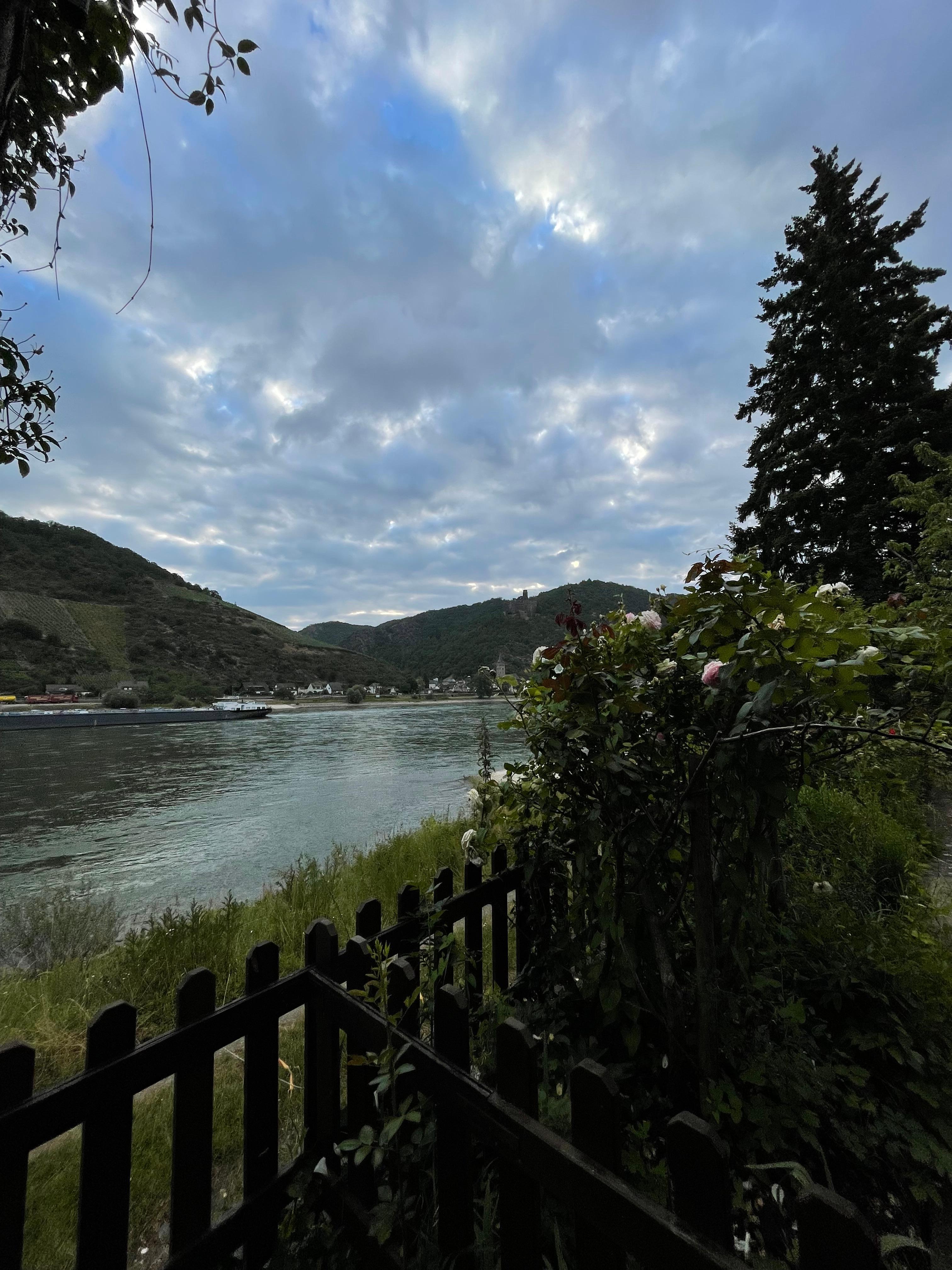 River view from the patio