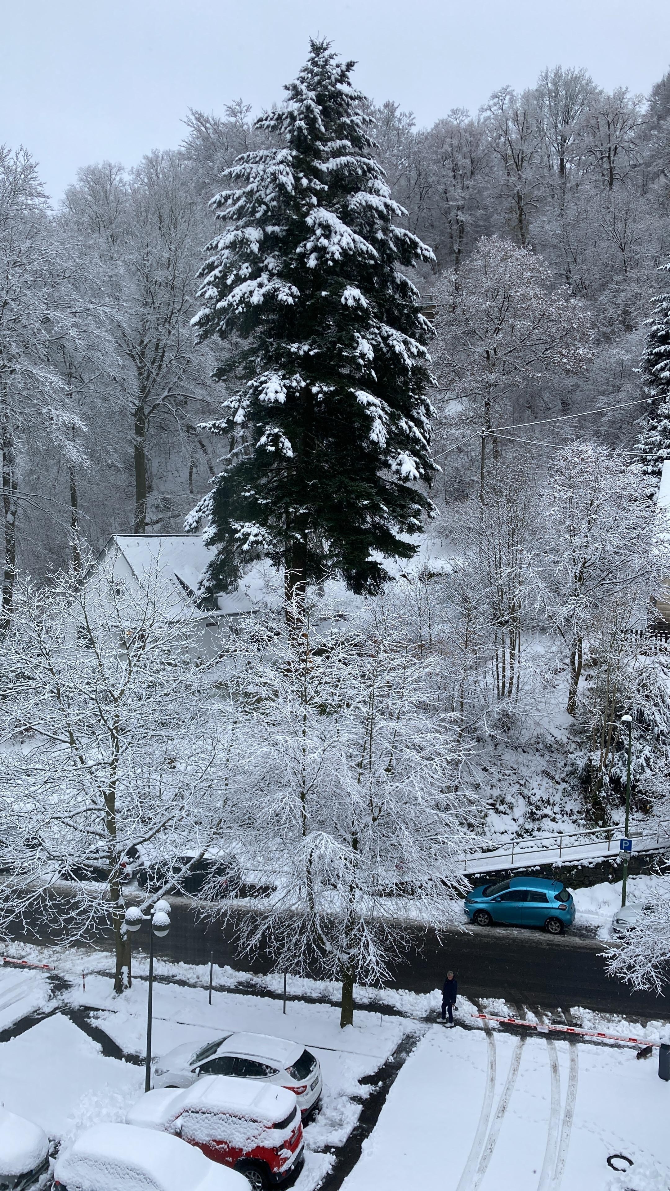 Blick aus unserem Fenster