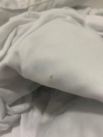 One of my frequent bed visitors!