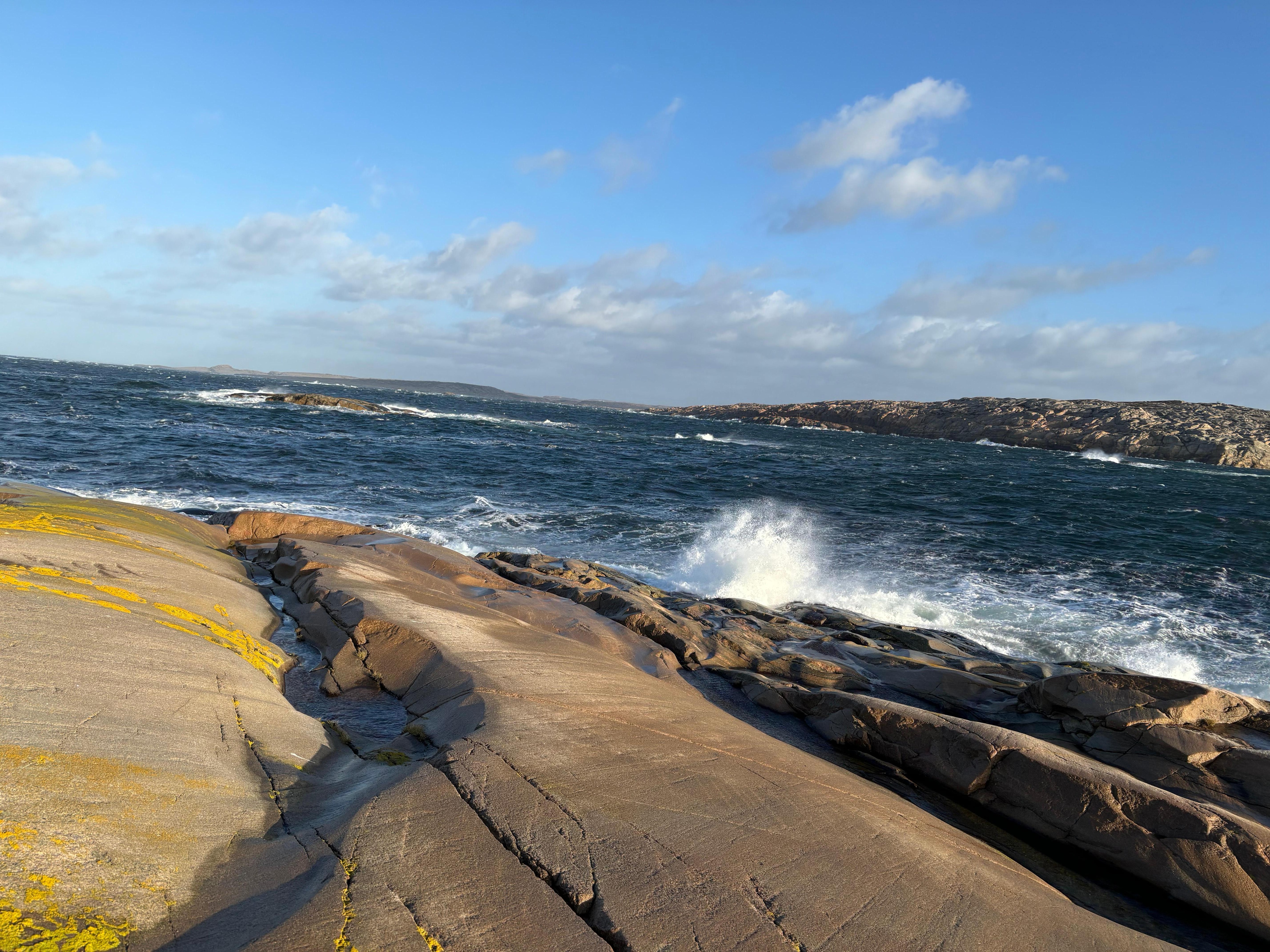 Höst vid havet