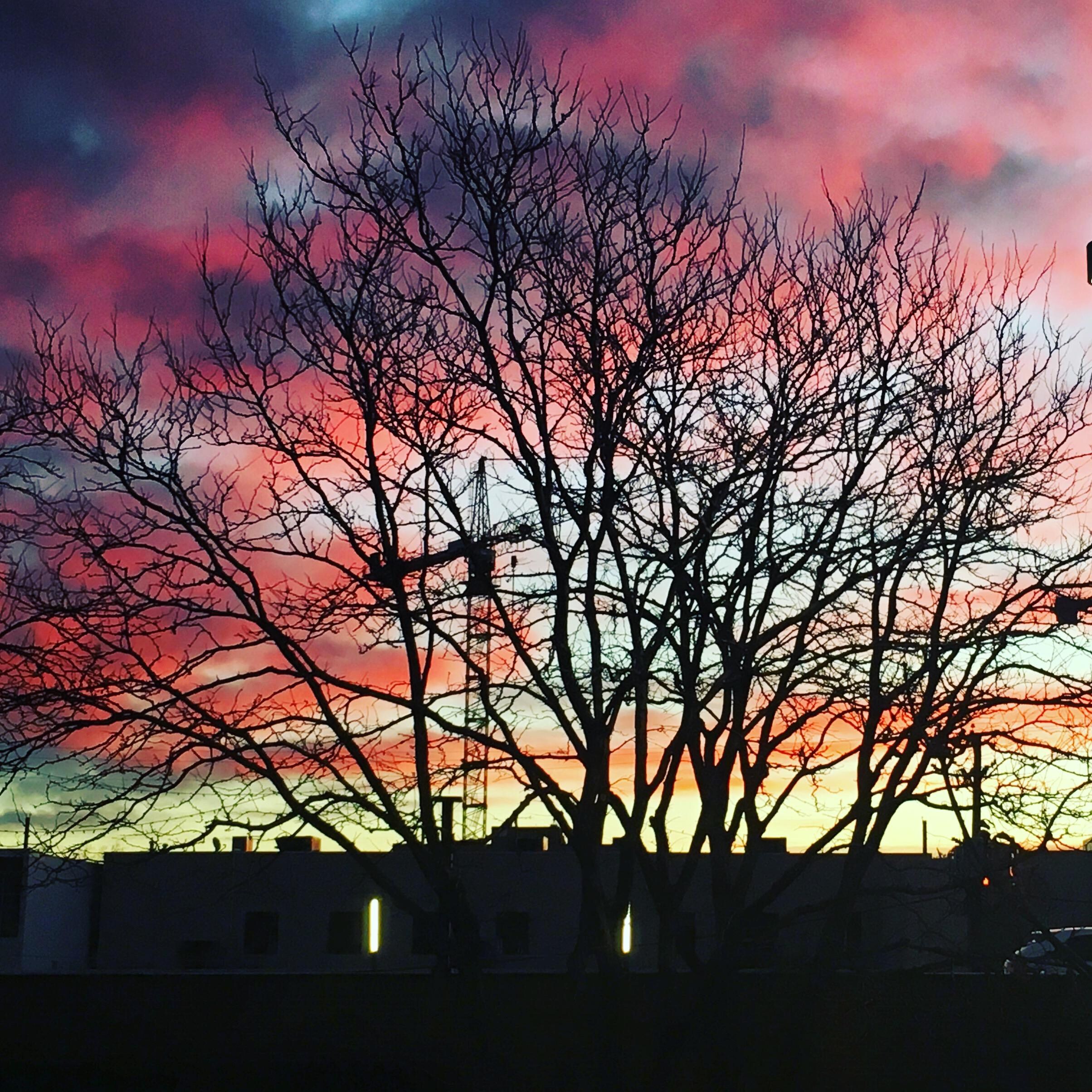 My Room View