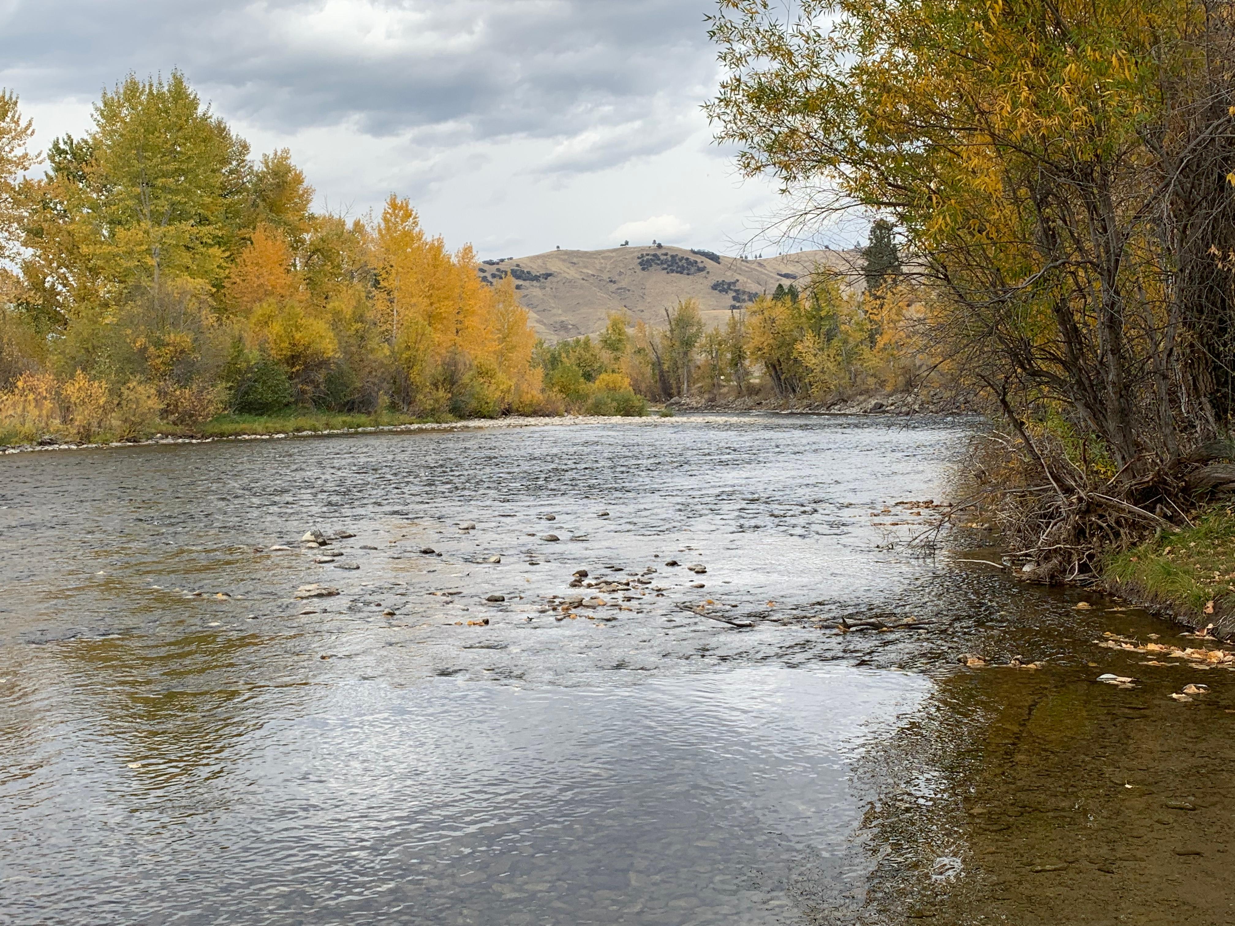 River that borders the property 