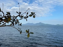 The surroundings