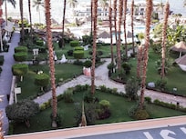 View of gardens. It is so pretty that couples come there for wedding photos.
