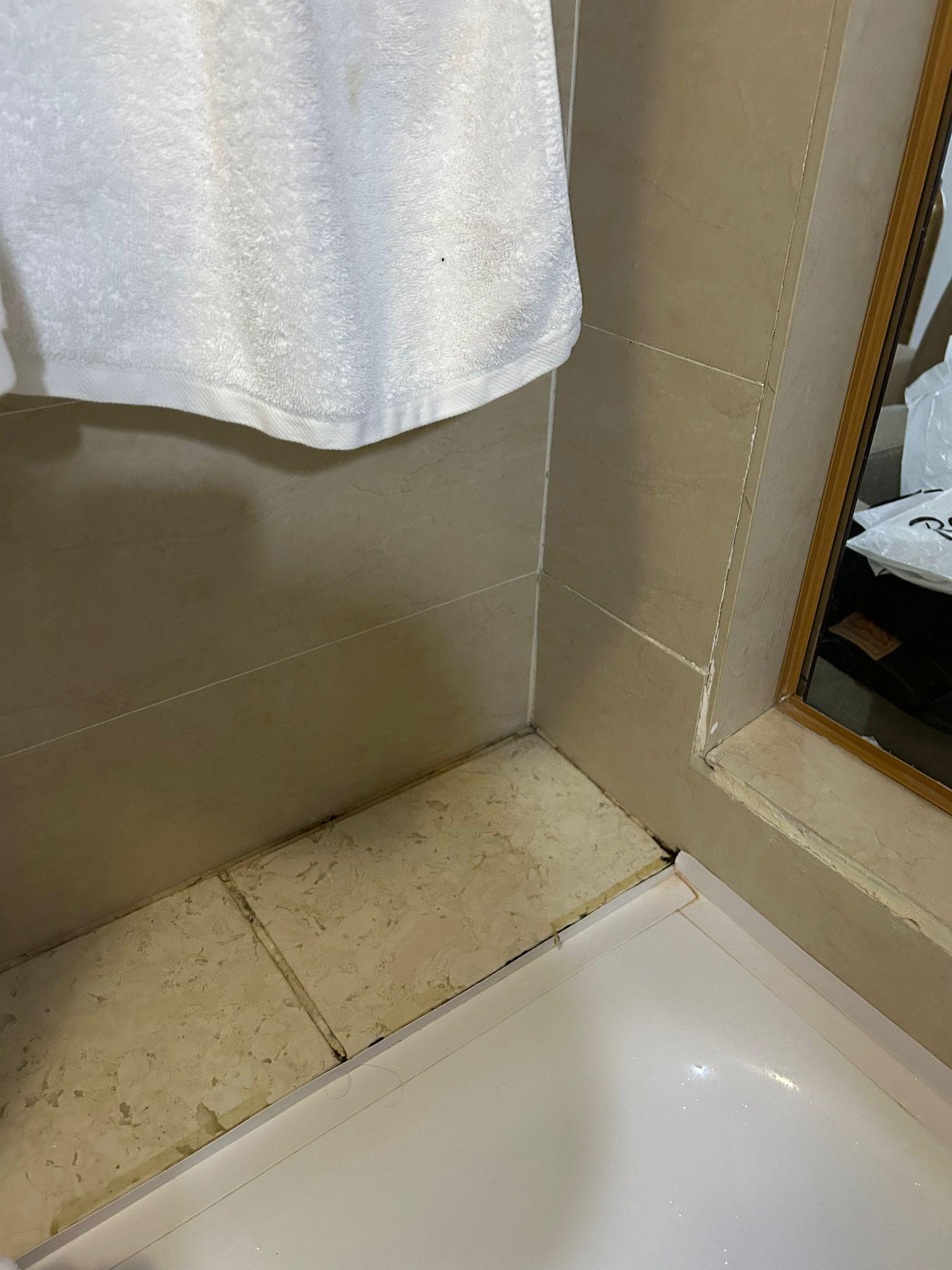 Mold in the bathtub