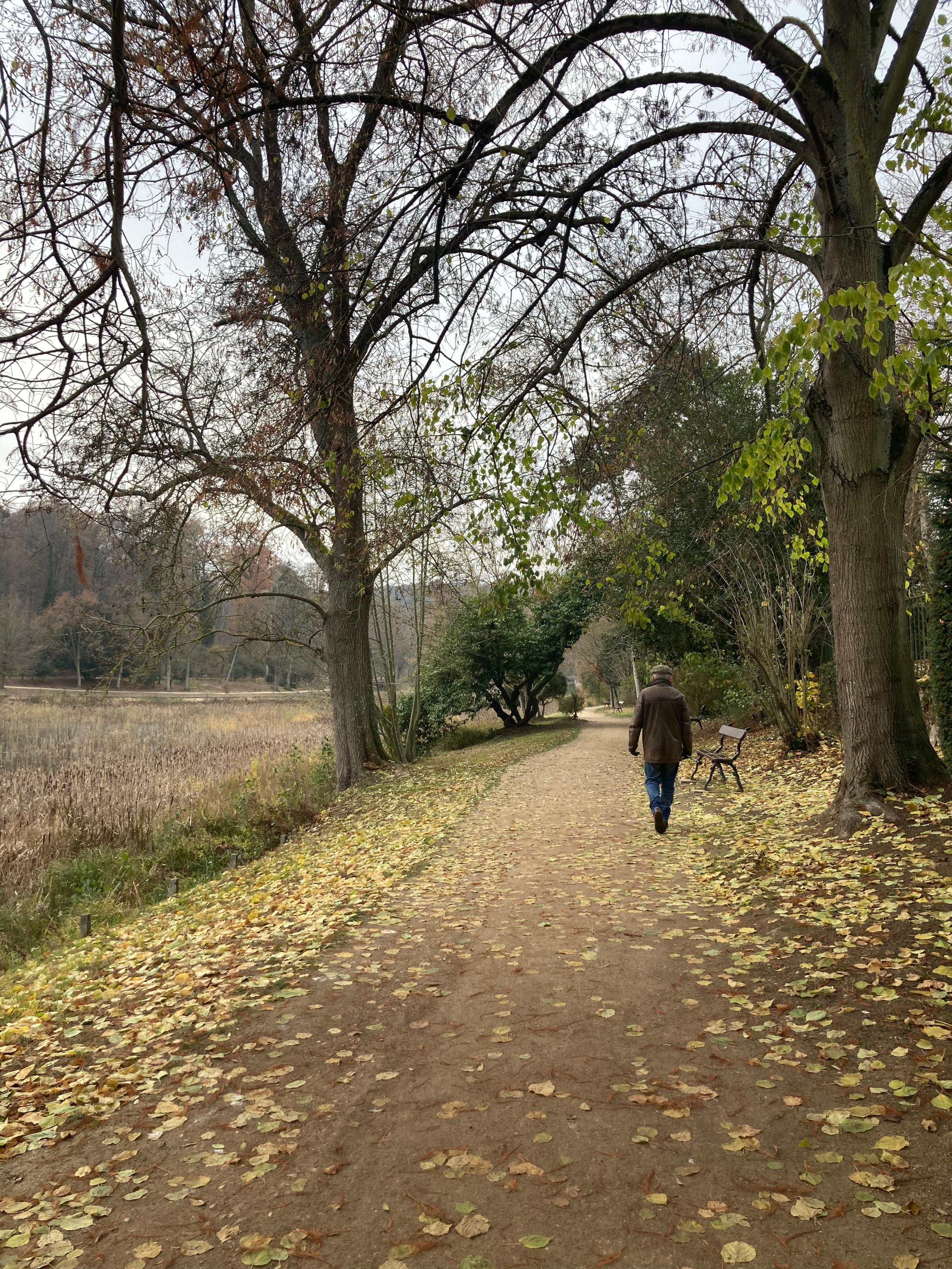 Promenades enchanteresques autour de l’étang, près des bois et dans le parc .