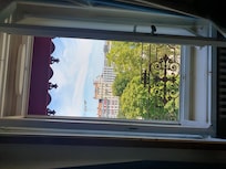 Balcony view from the room