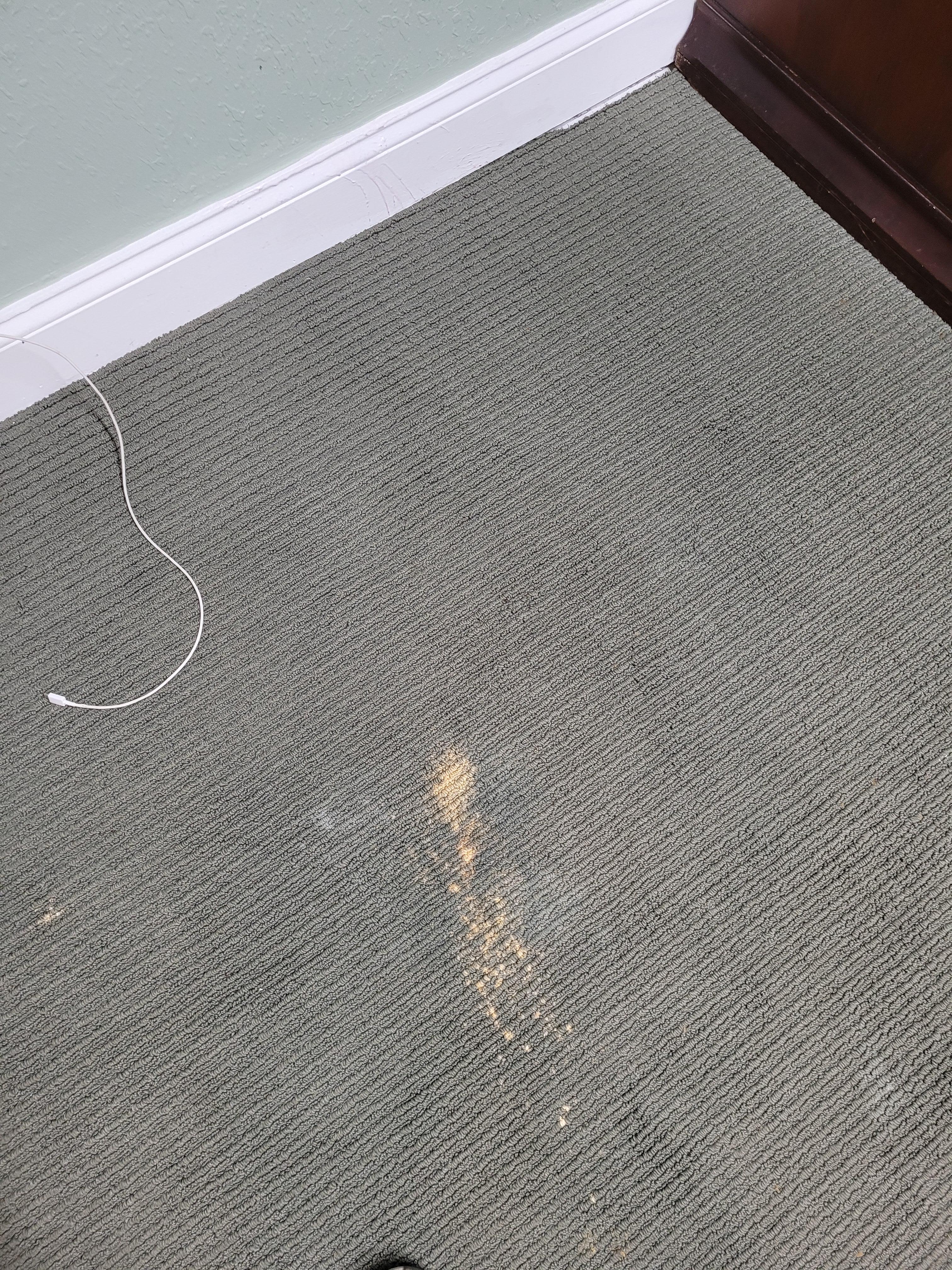 Carpet stains