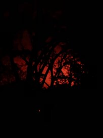 View from the back window one evening. We were lucky to stay here during an active period.