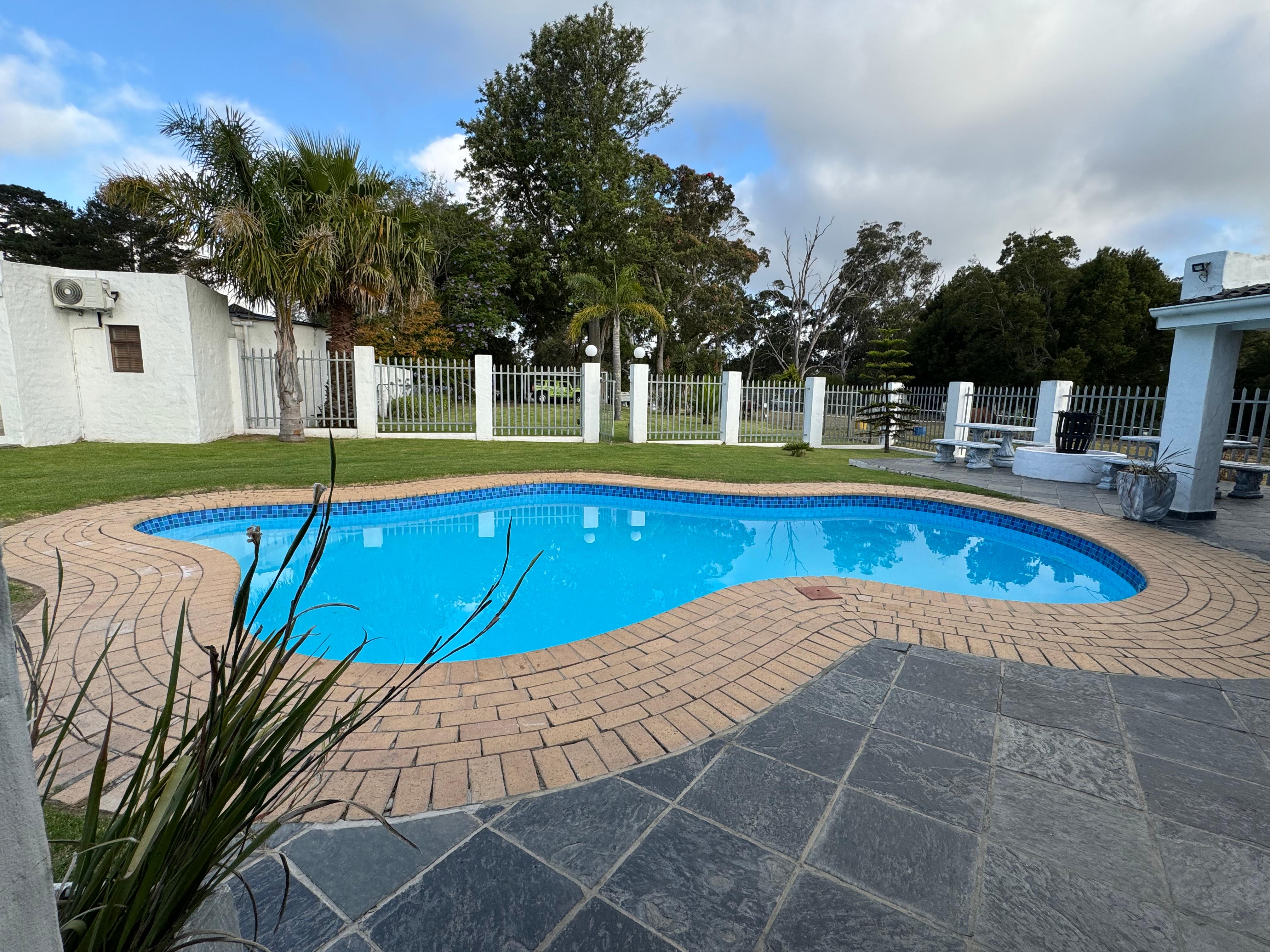 Lovely pool and looking towards horse paddock 