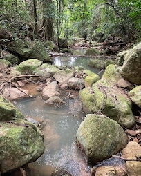 The waterfall trail