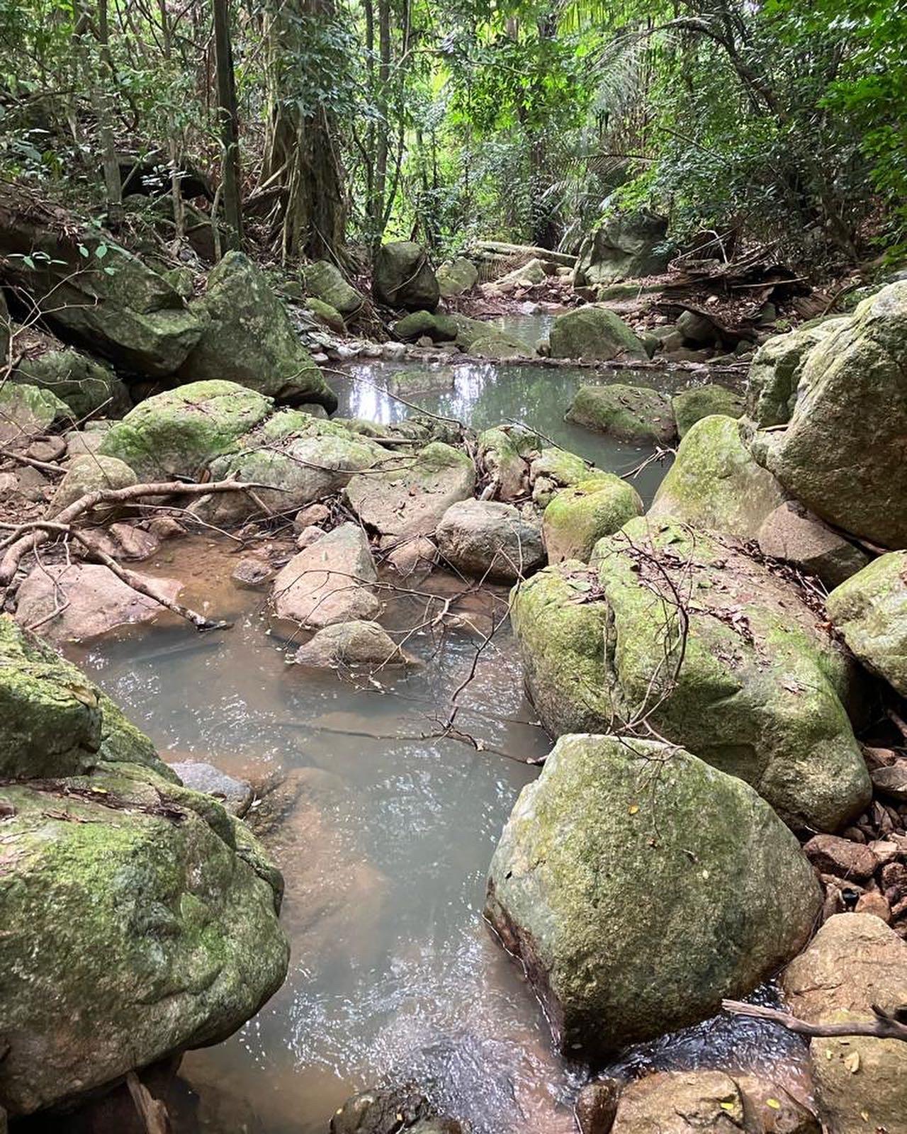 The waterfall trail 