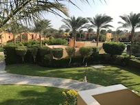 View across gardens