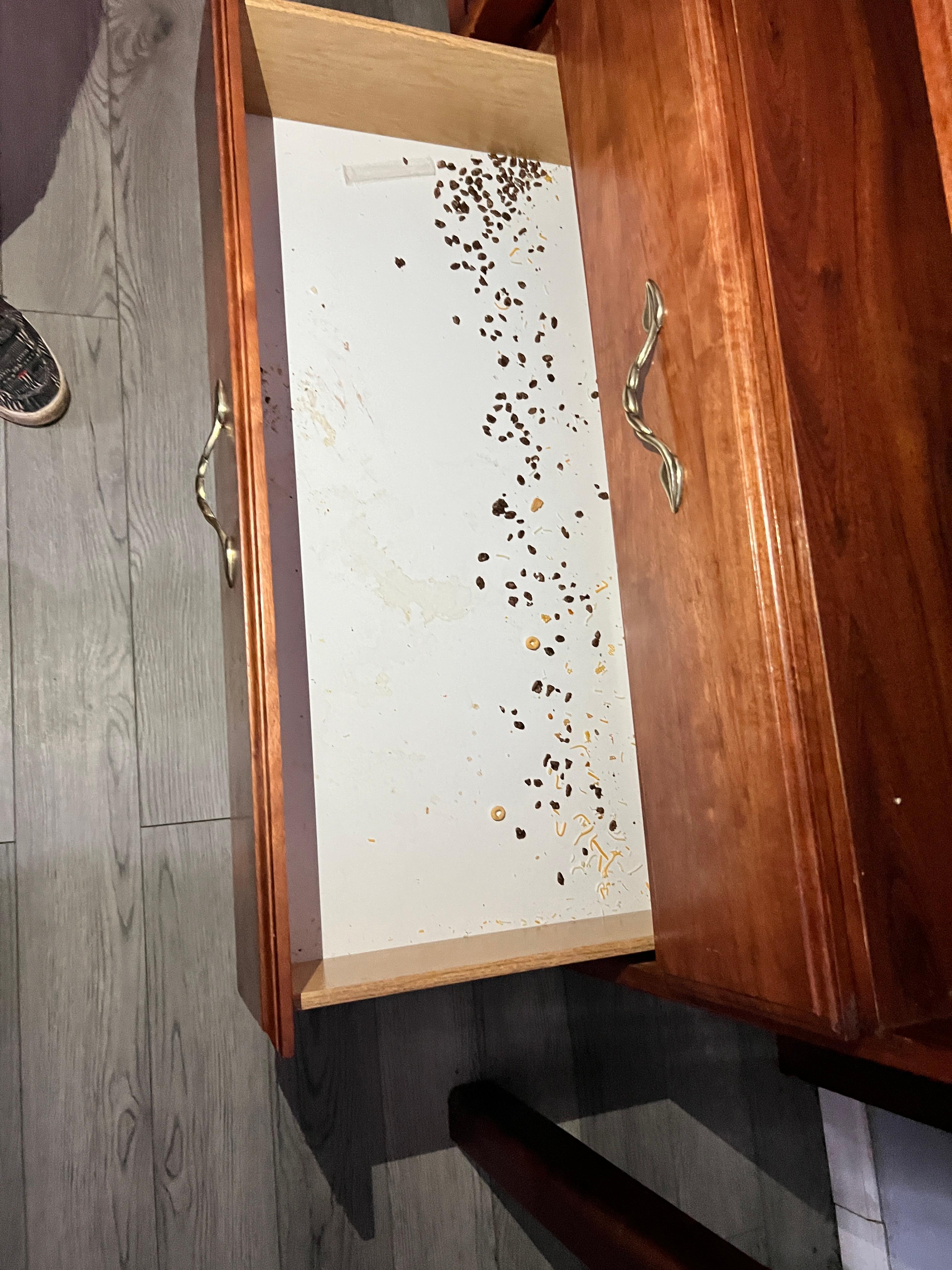 Cereal (I think) in second drawer 