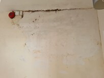 Dampness in the walls of the room