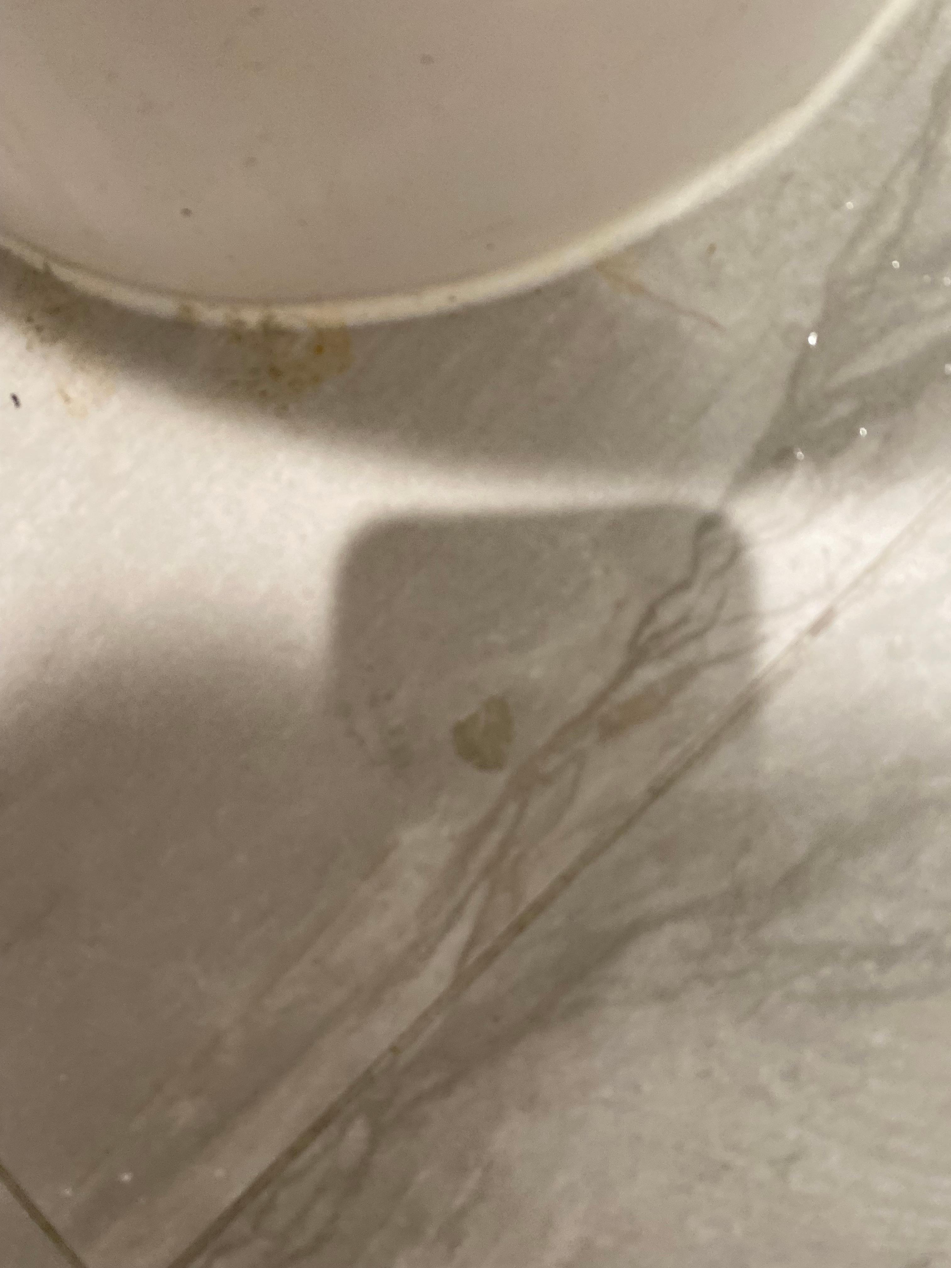 Dried dirt stains around toilet 