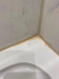 Moisissures dans la Salle de bain