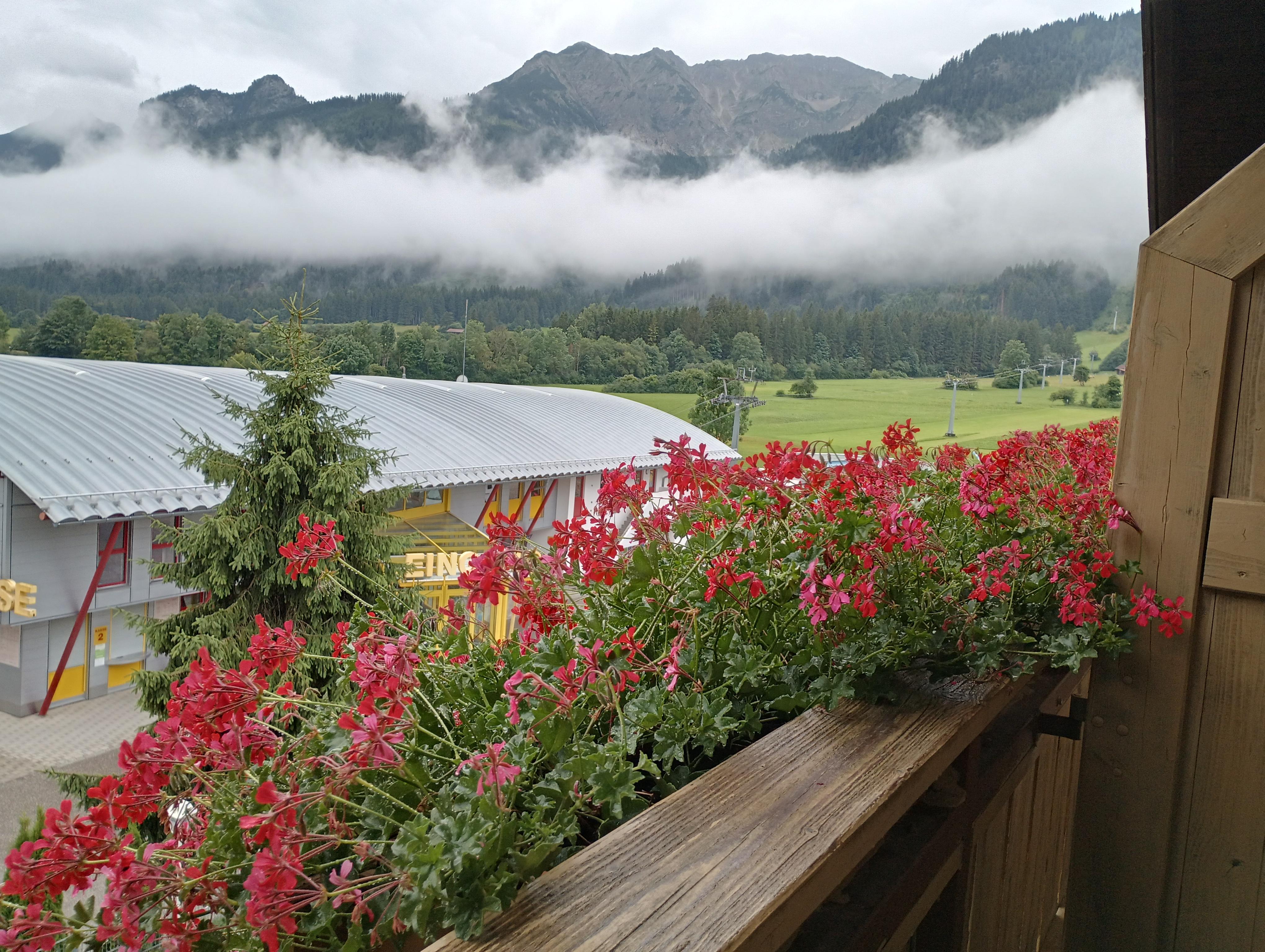 Morning mist view from our room.