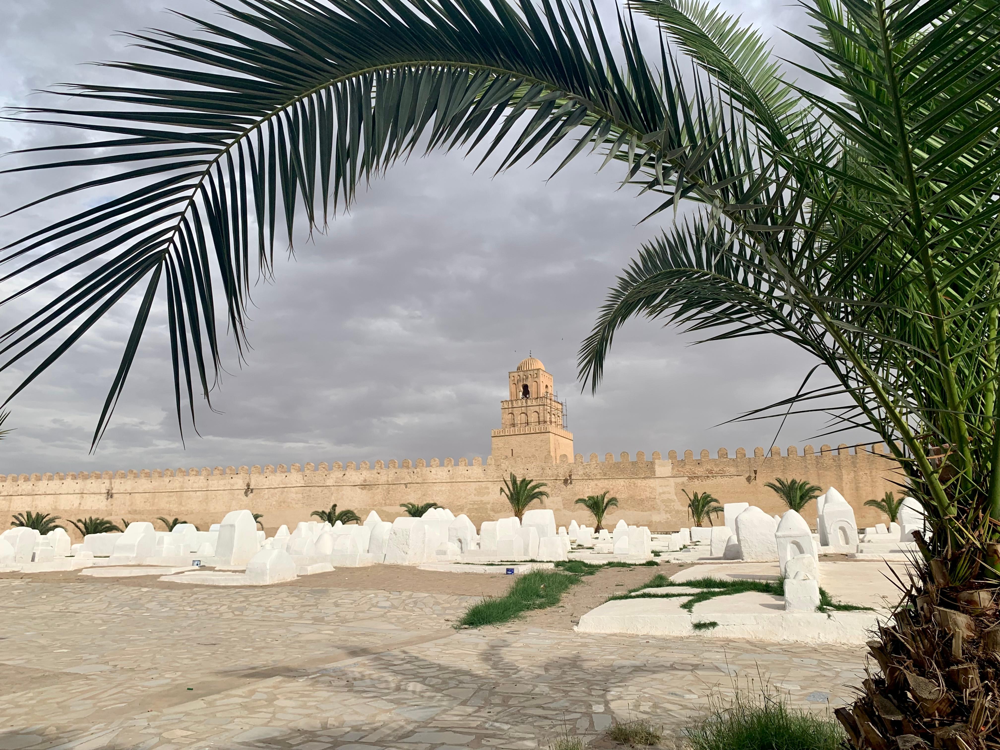 Ma découverte à pied de la mosquée.