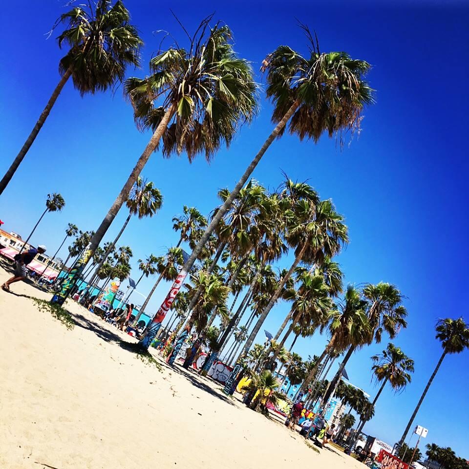 Samesun Venice Beach, Los Angeles 80 Room Prices & Reviews Travelocity