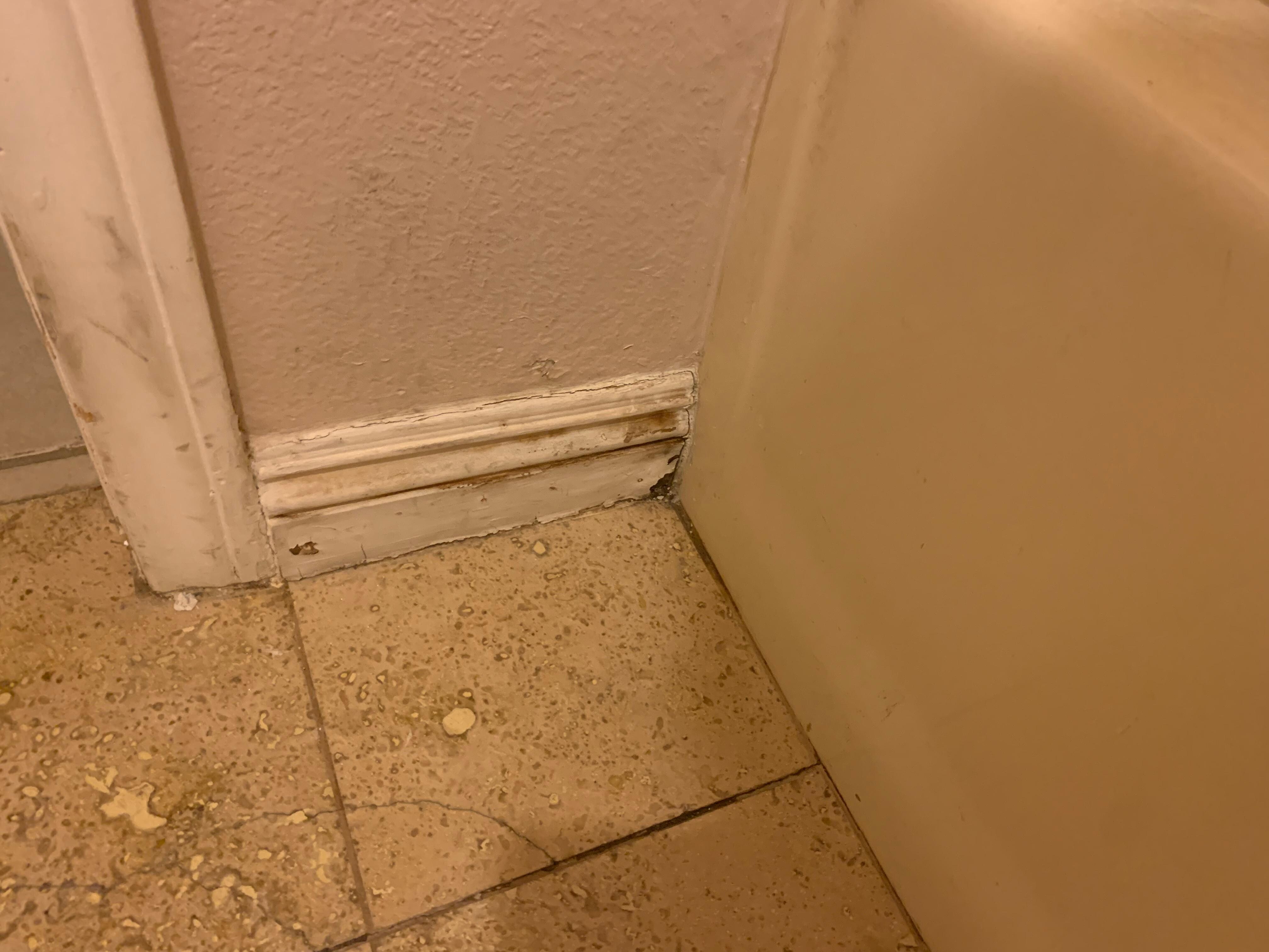 Gross bathroom