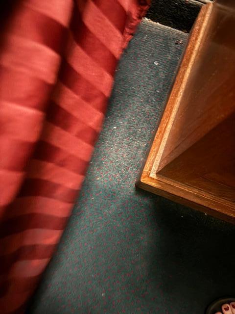 carpet by the bed