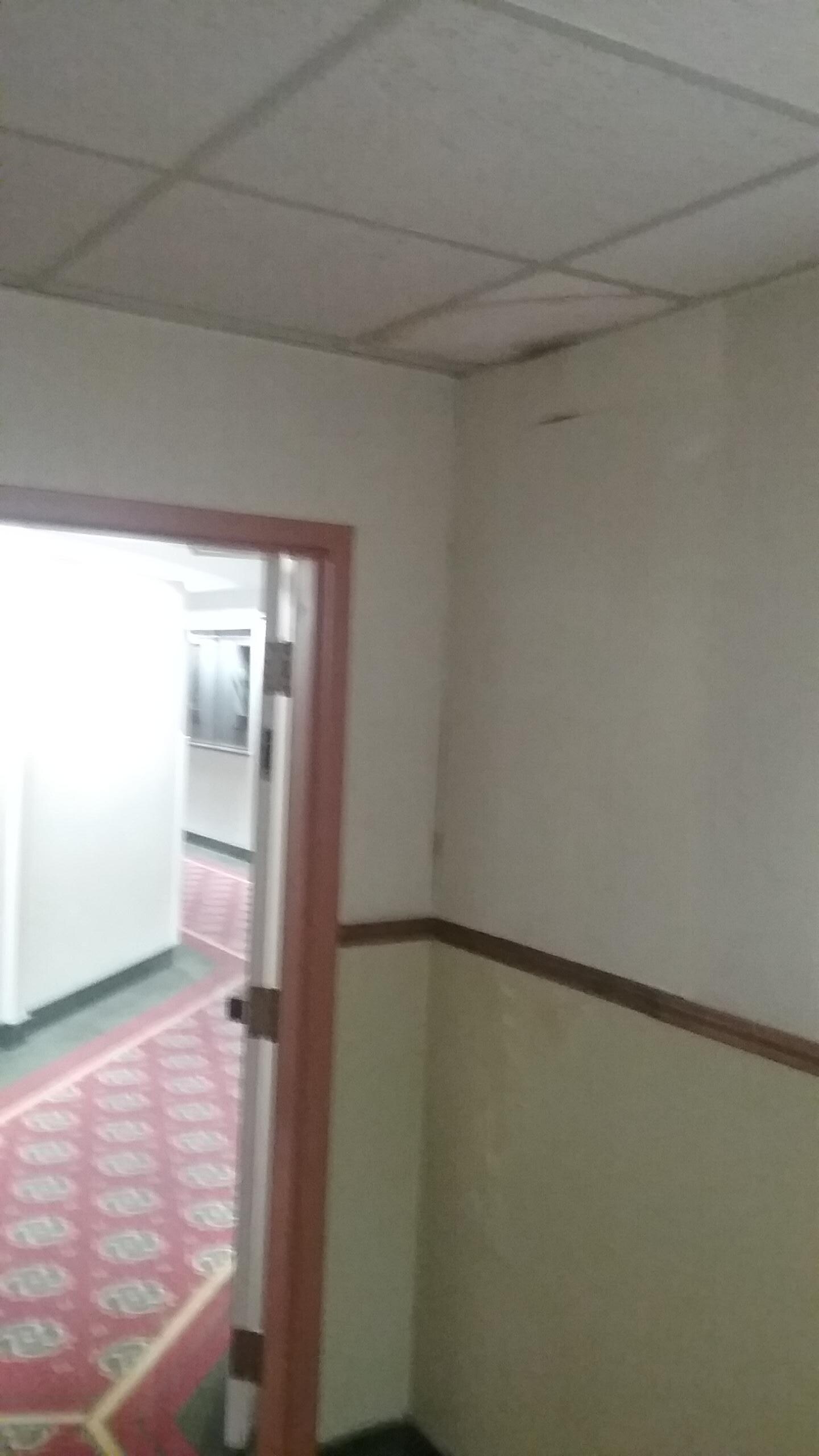 Mold.