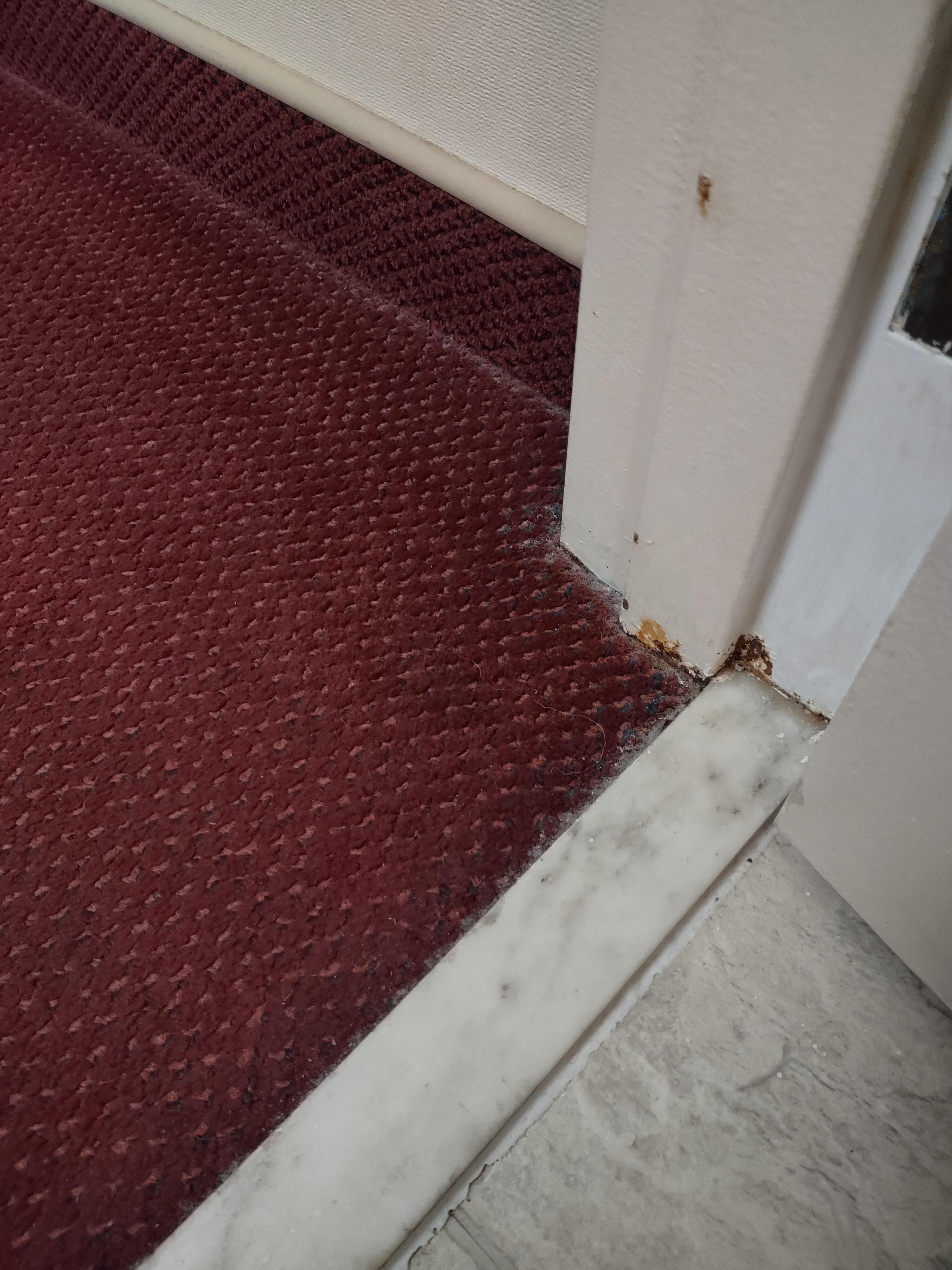 Le bas de la porte de la salle de bain.