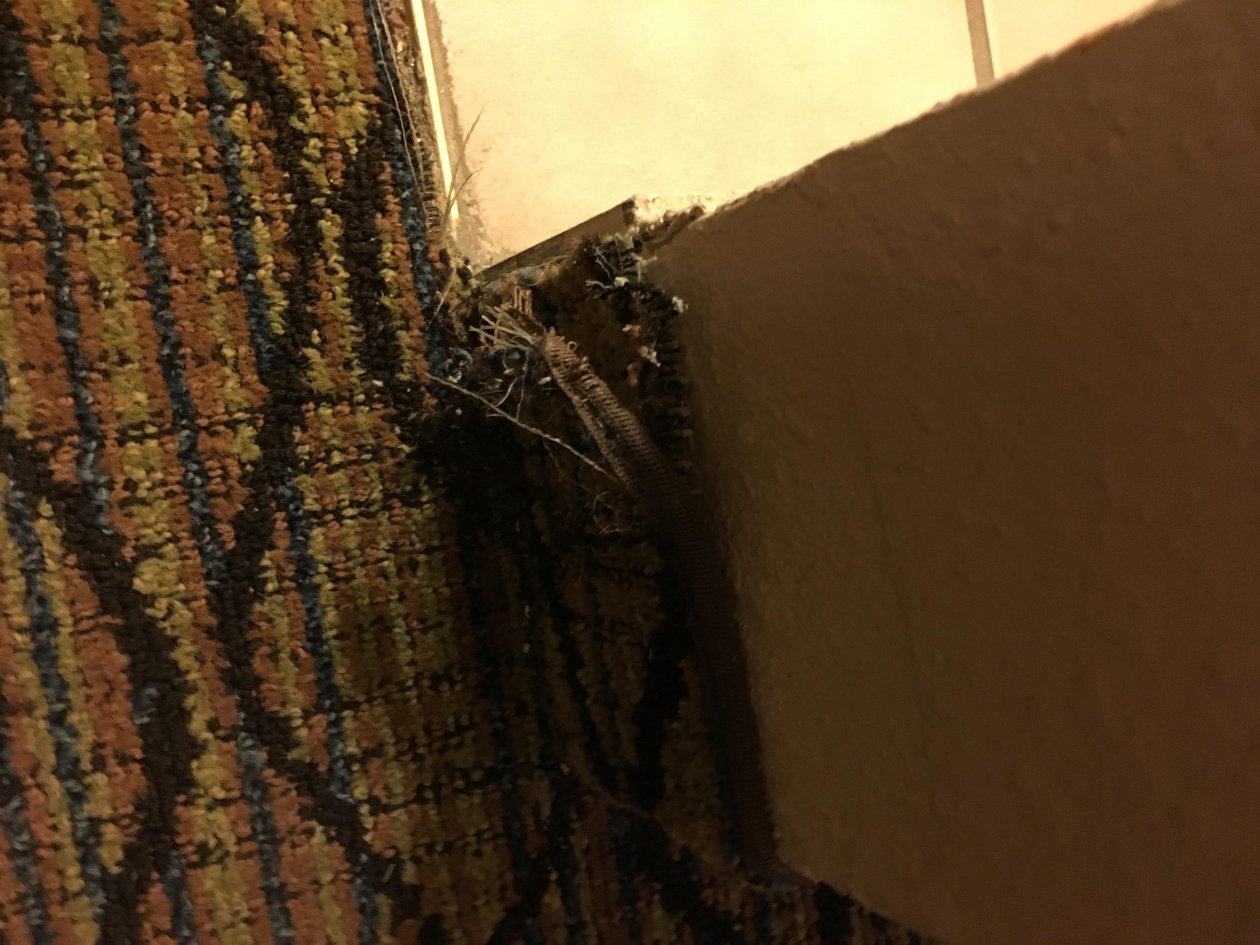 Small example of how dirty the room is.