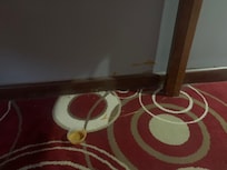 Parts of yesterday’s guests dinner?