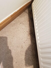 Dirty carpets