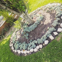 Jardín