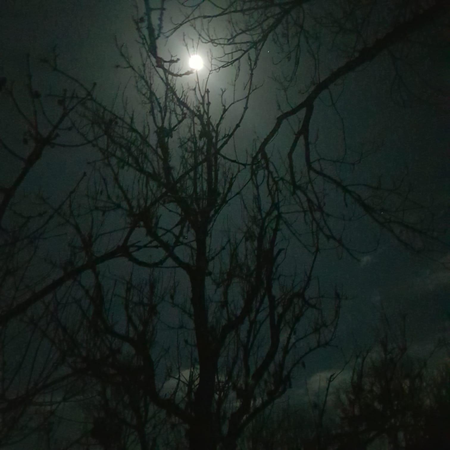 Vue de la bulle la nuit