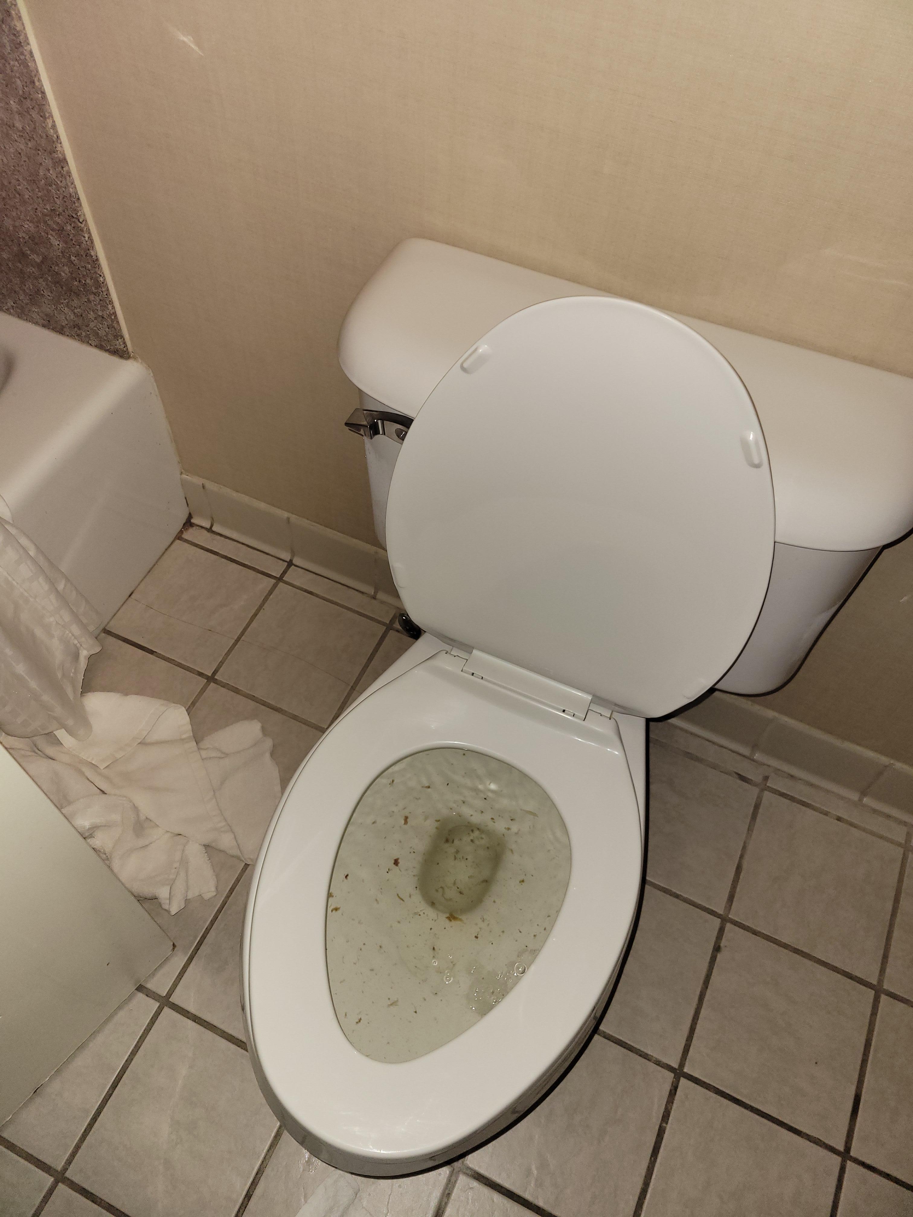 Backed up toilet