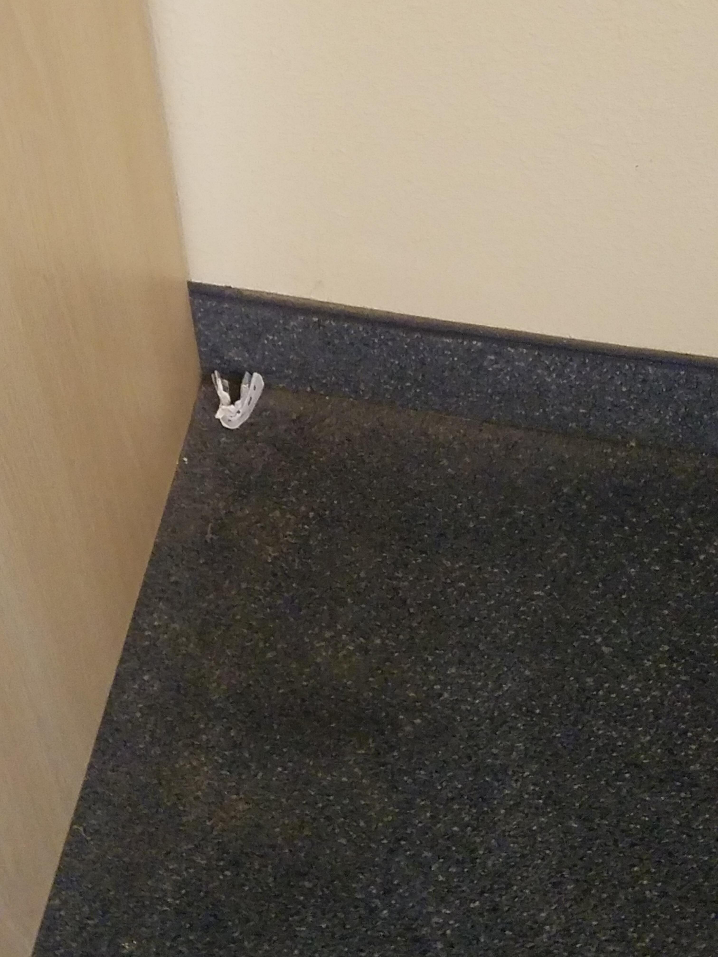 Garbage on dirty floor