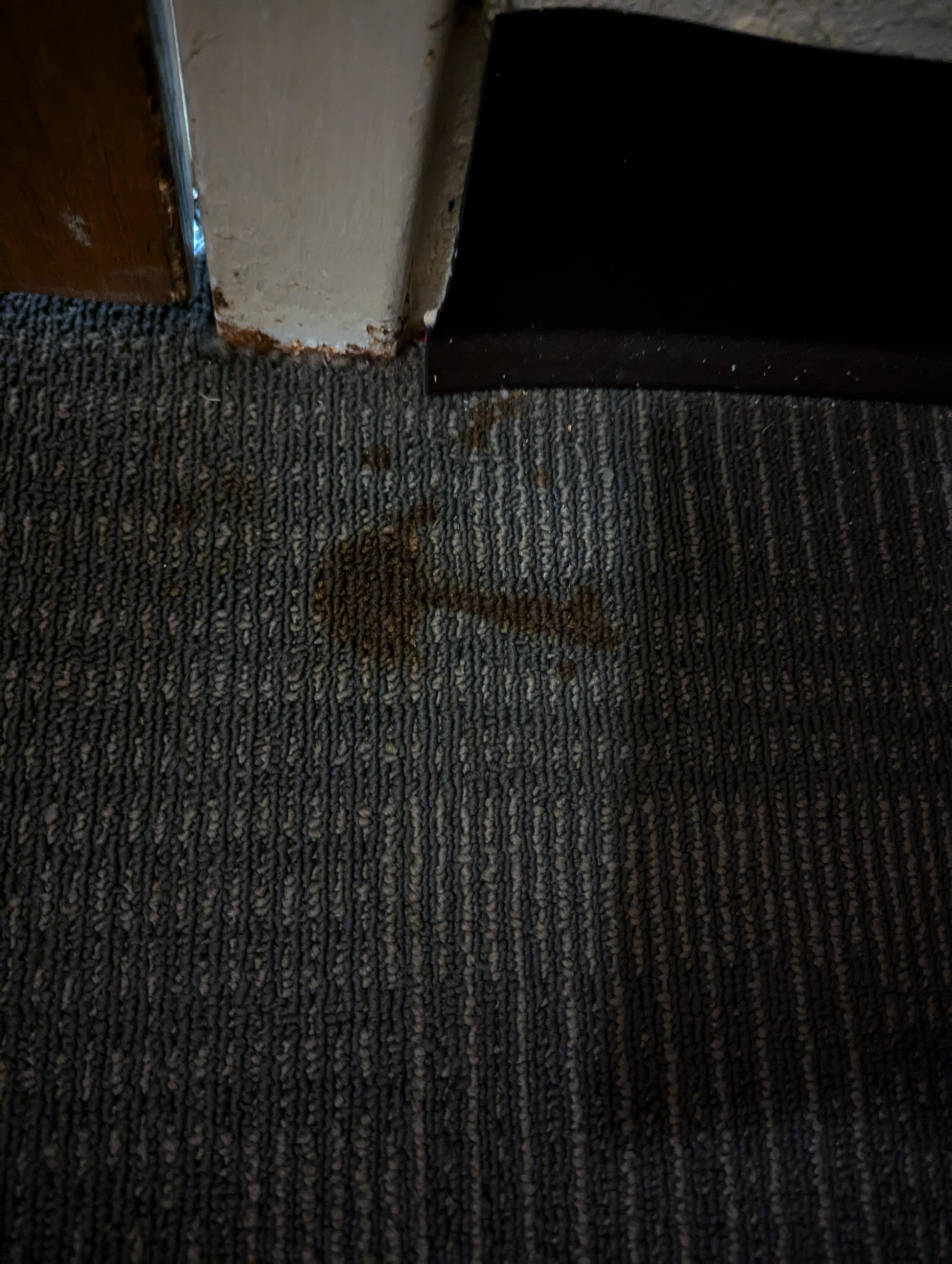 Stain in front of door 