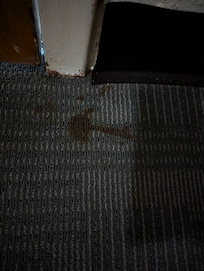 Stain in front of door