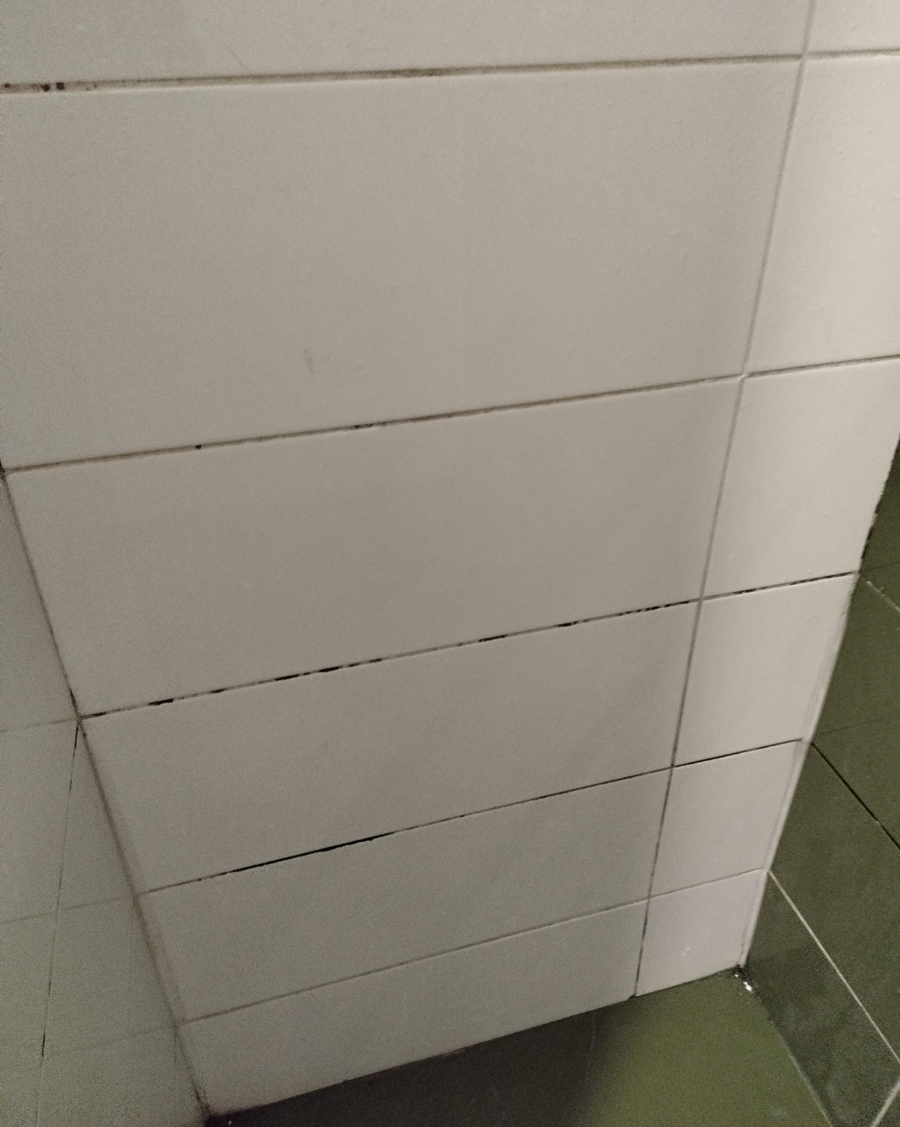 FILTHY, MOULDY GROUT!