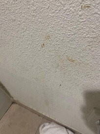 Disgusting wall in bathroom