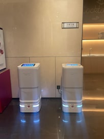 The room robot