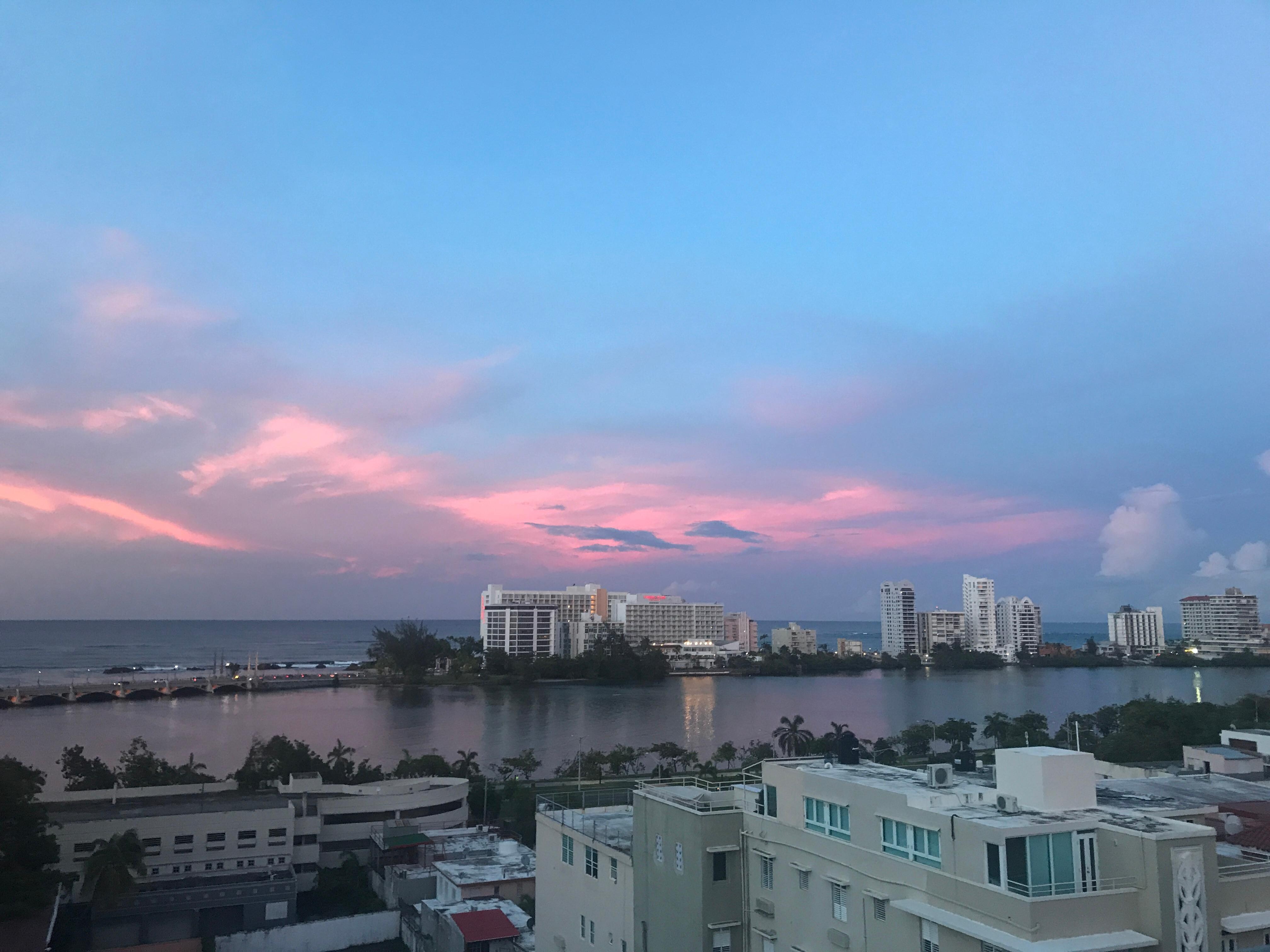 Rooftop View